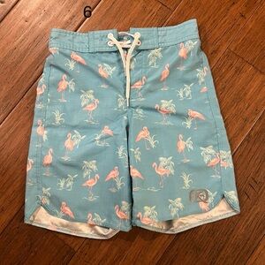 Quiet Storm Kids Flamingo Print Swim Trunks